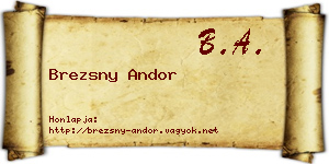Brezsny Andor névjegykártya